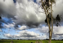 欧洲国家联赛最新赛程比分情况如何？