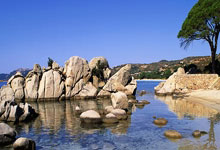 上海五星体育手机端能免费看直播吗？怎么操作？